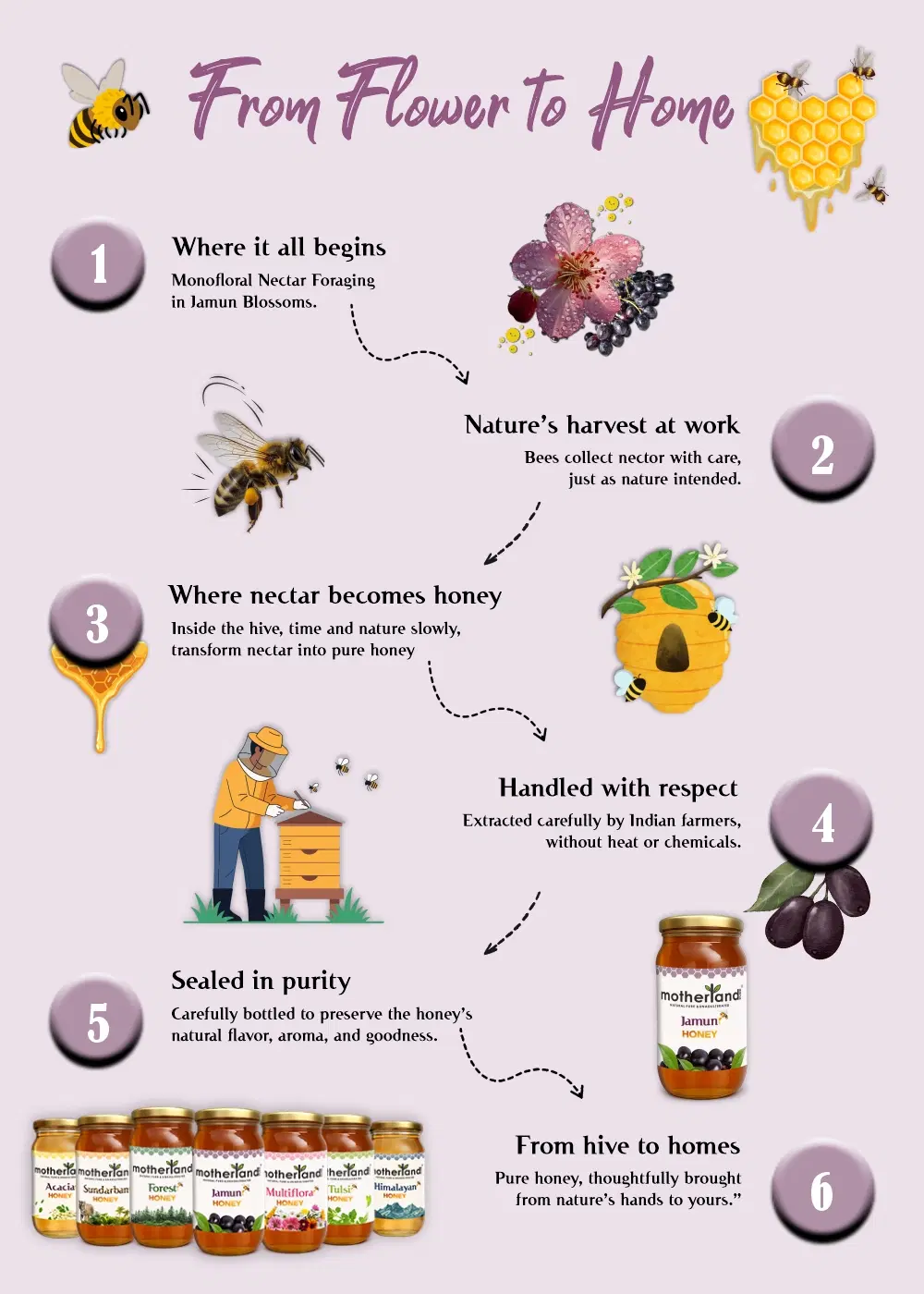 Pure Jamun Honey 