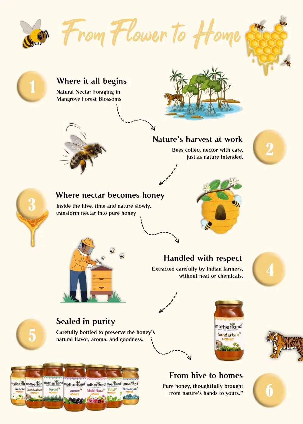 Pure Sundarban Honey