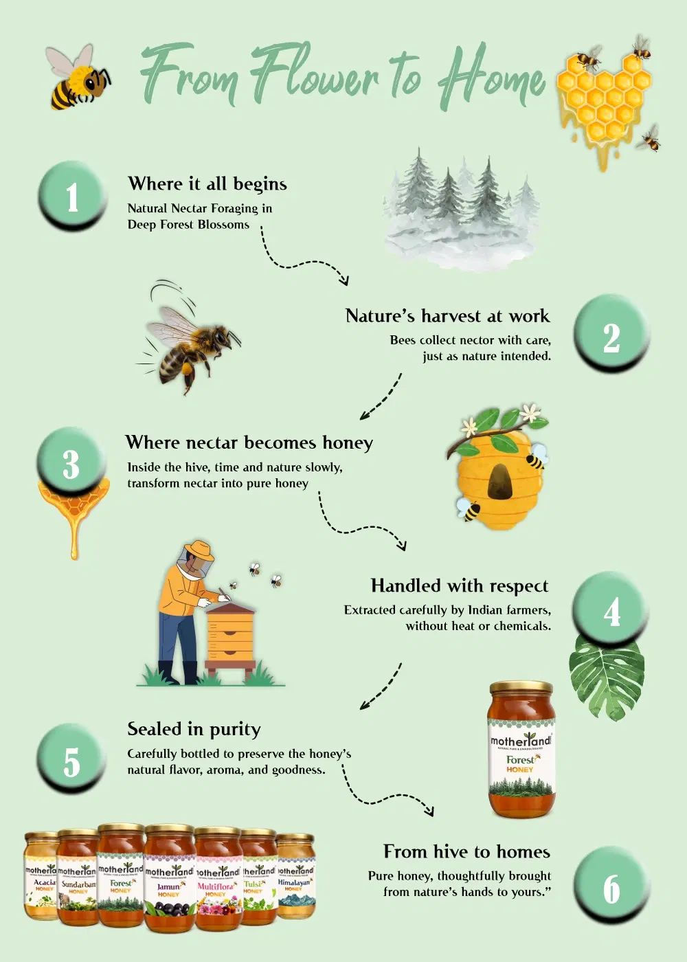 Raw Wild Forest Honey