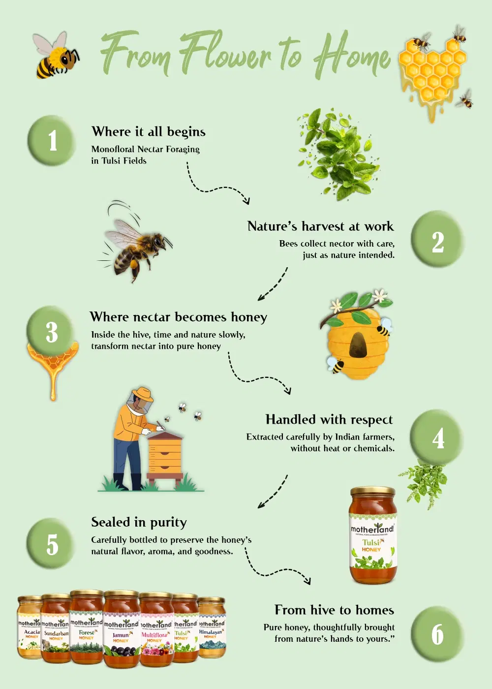 Pure Tulsi Honey