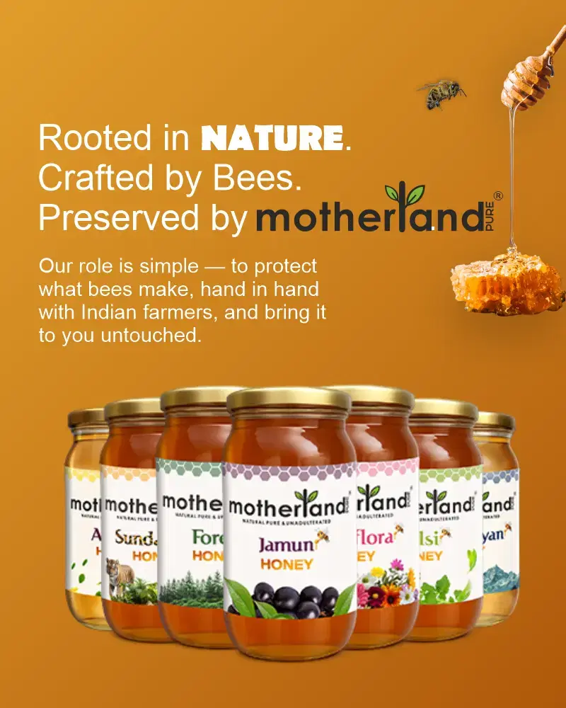 The Journey of Pure Honey: From India’s Heartlands to Your Home