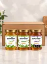 Wellness Honey Combo – Tulsi + Neem + Jamun