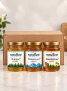 Indian Forest Honey Collection – Sundarban + Forest + Himalayan