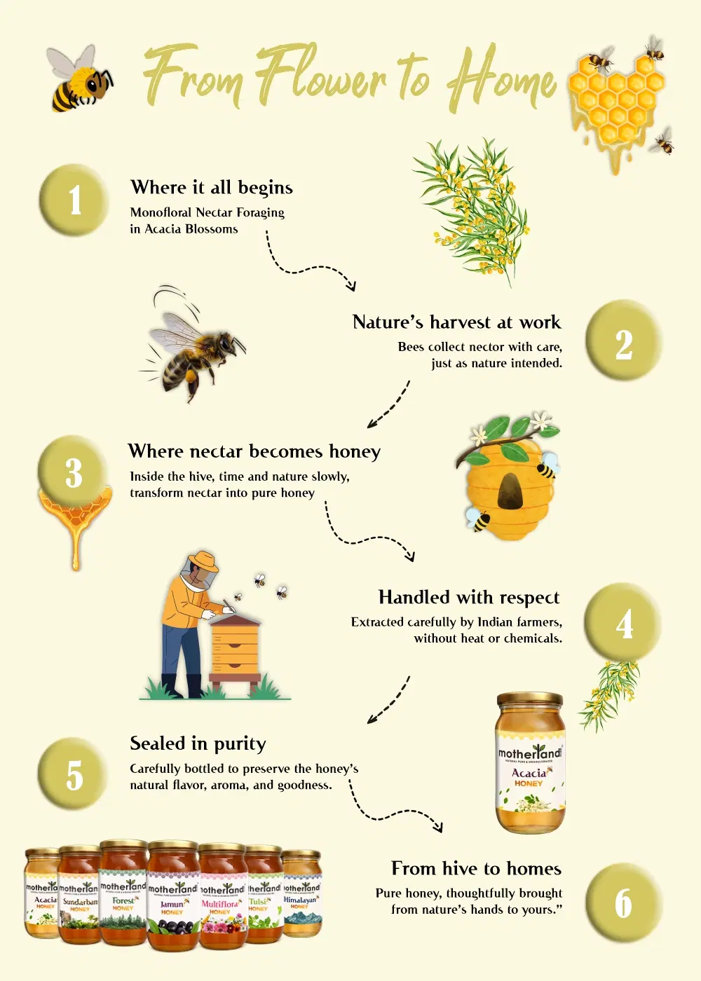 Pure Acacia Honey